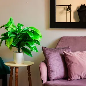 The Tropical House Apartment Tirana