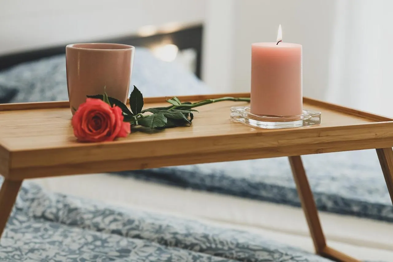 Carin Deluxe I Apartment Viena 0*,